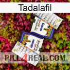 Tadalafil 12